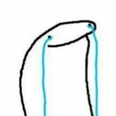 flork solana img (10)